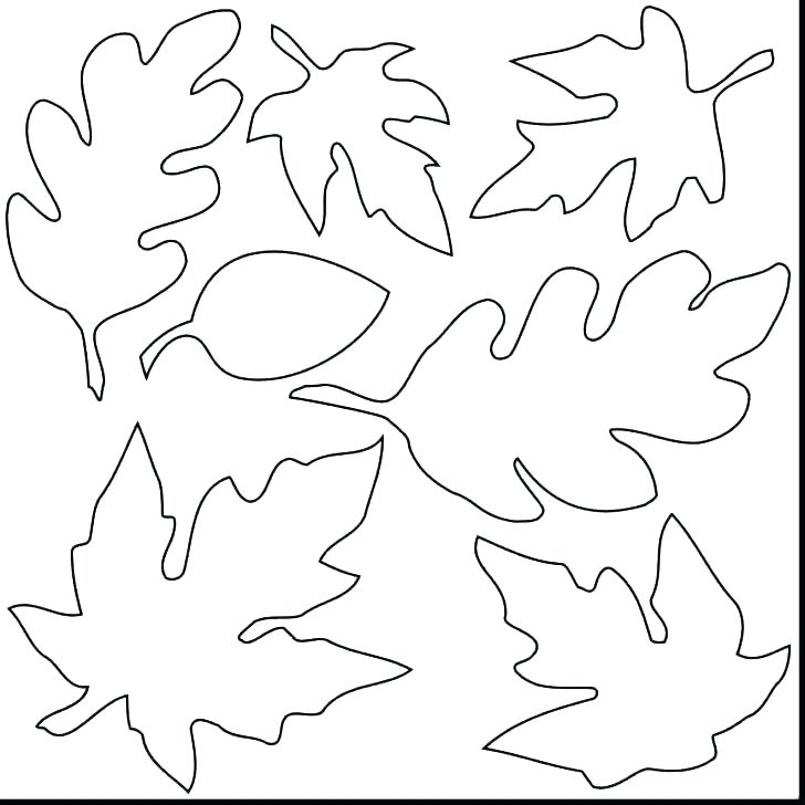 728x728 Fall Leaves Coloring Page Leaf Coloring Pages Printable Leaves