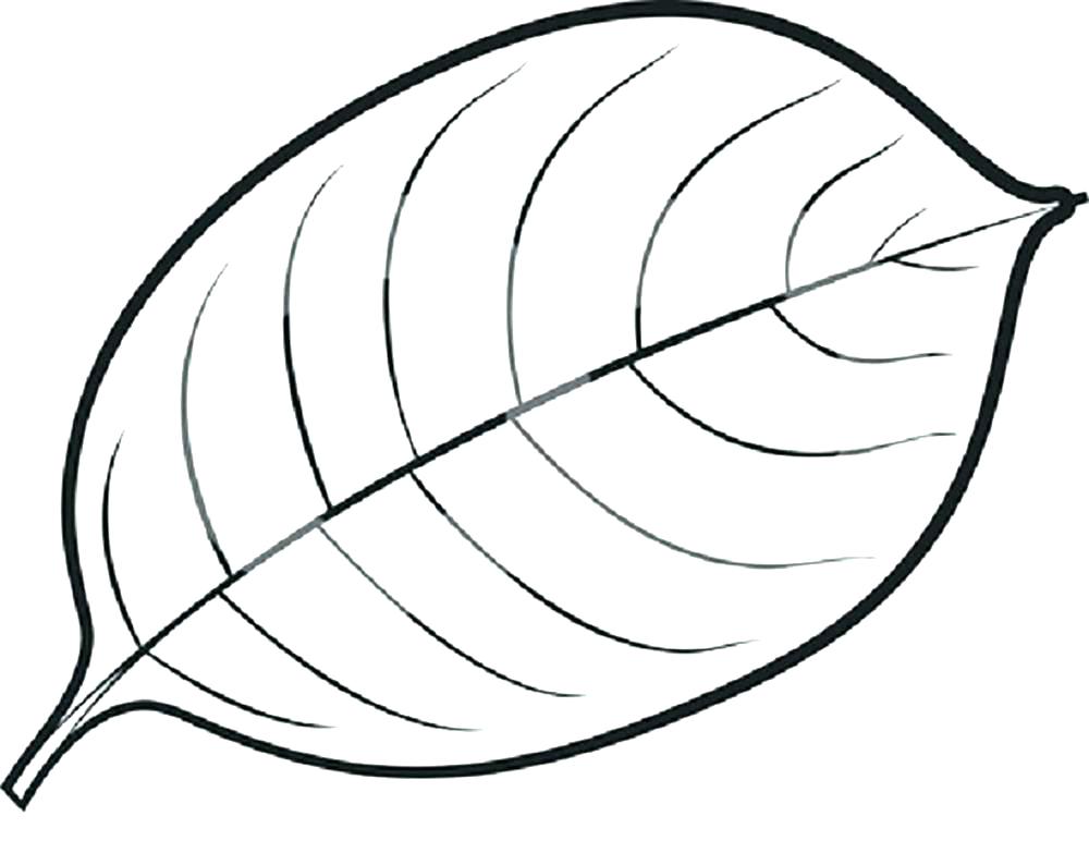 1000x783 Fall Leaves Coloring Pages Printable Coloring Page Leaf Leaves