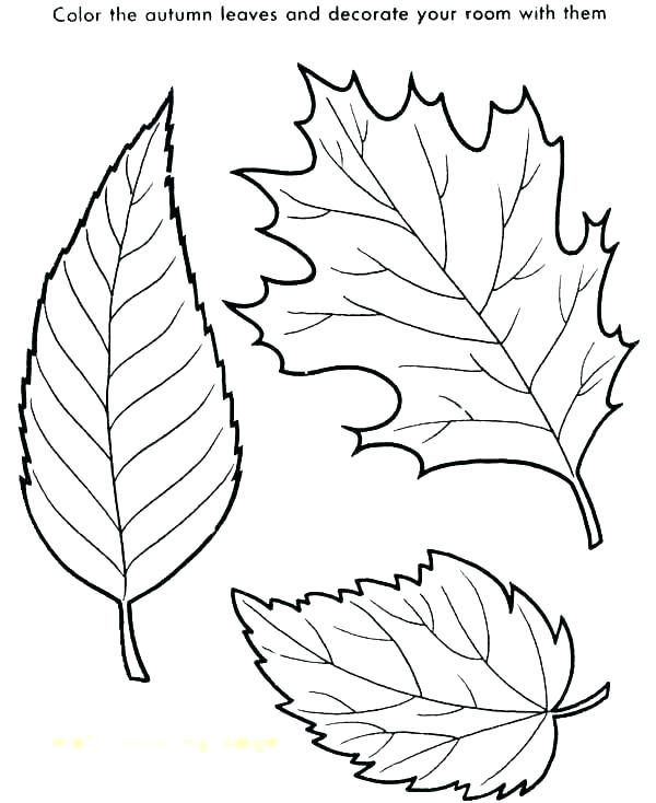 600x734 Menorah Coloring Pages Coloring Page Printable Coloring Page