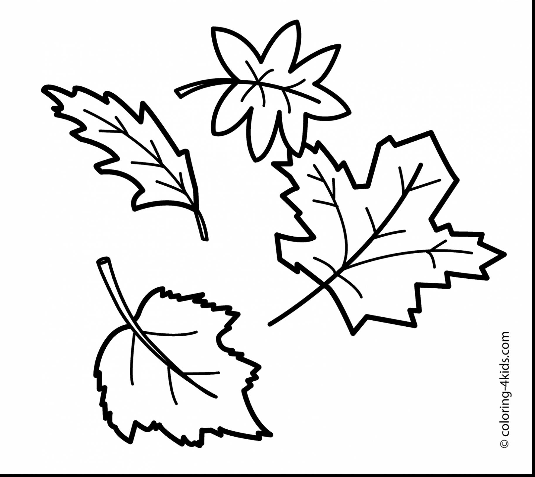 1827x1631 Revisited Fall Foliage Coloring Pages Compromise Leaf Pictures