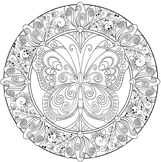 650x655 