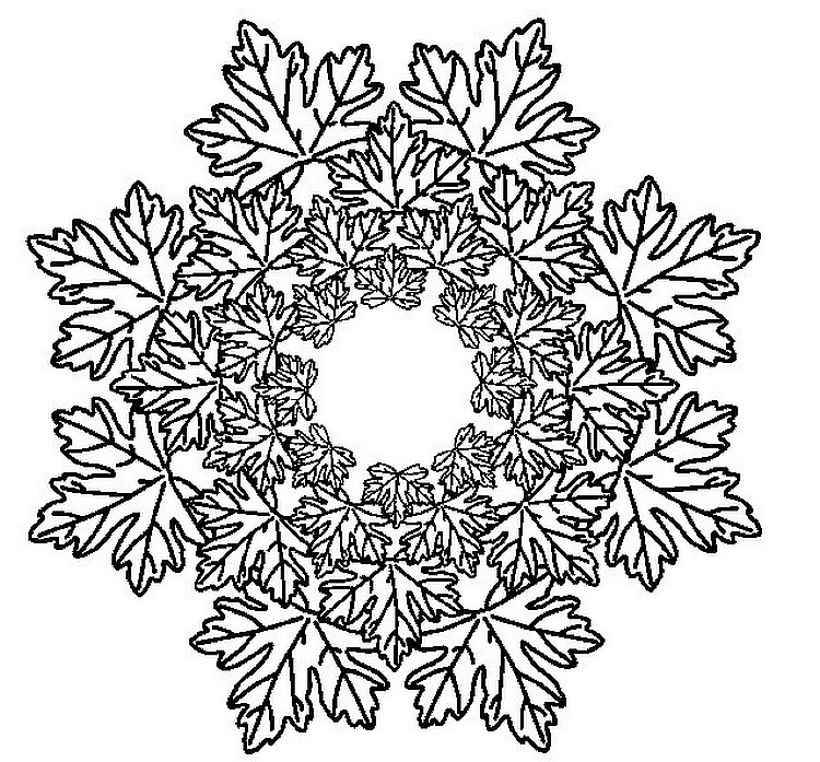 750x697 Adult Coloring Page Autumn Mandalas Leaves 4