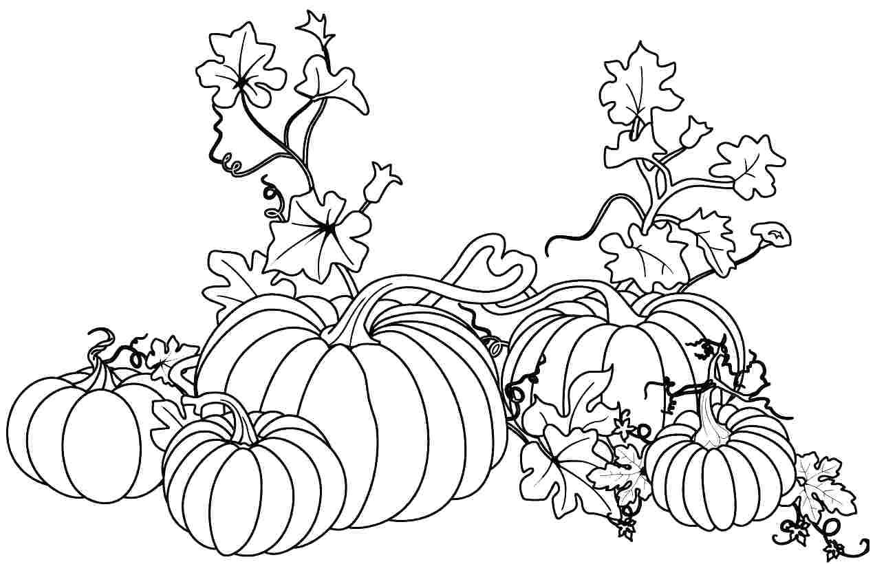 1272x820 Fall Pumpkin Coloring Sheets Acpra