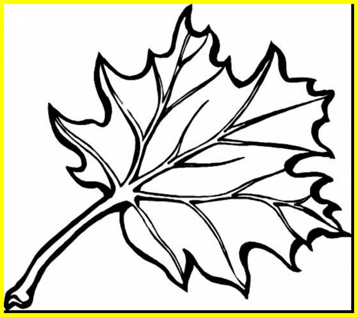 1214x1077 Amazing Astounding Fall Leaves Coloring Page With Printable Image
