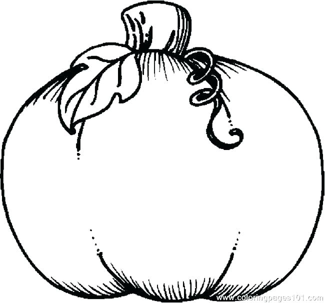 650x606 Pumpkin Patch Coloring Page Pumpkin Patch Coloring Pages Free