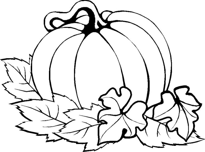 800x592 Pumpkin To Color Fall Pumpkin Coloring Pages Color Bros