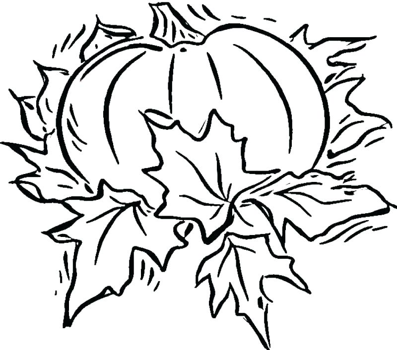 800x706 Scary Pumpkin Coloring Pages Scary Pumpkin Coloring Pages Spookley