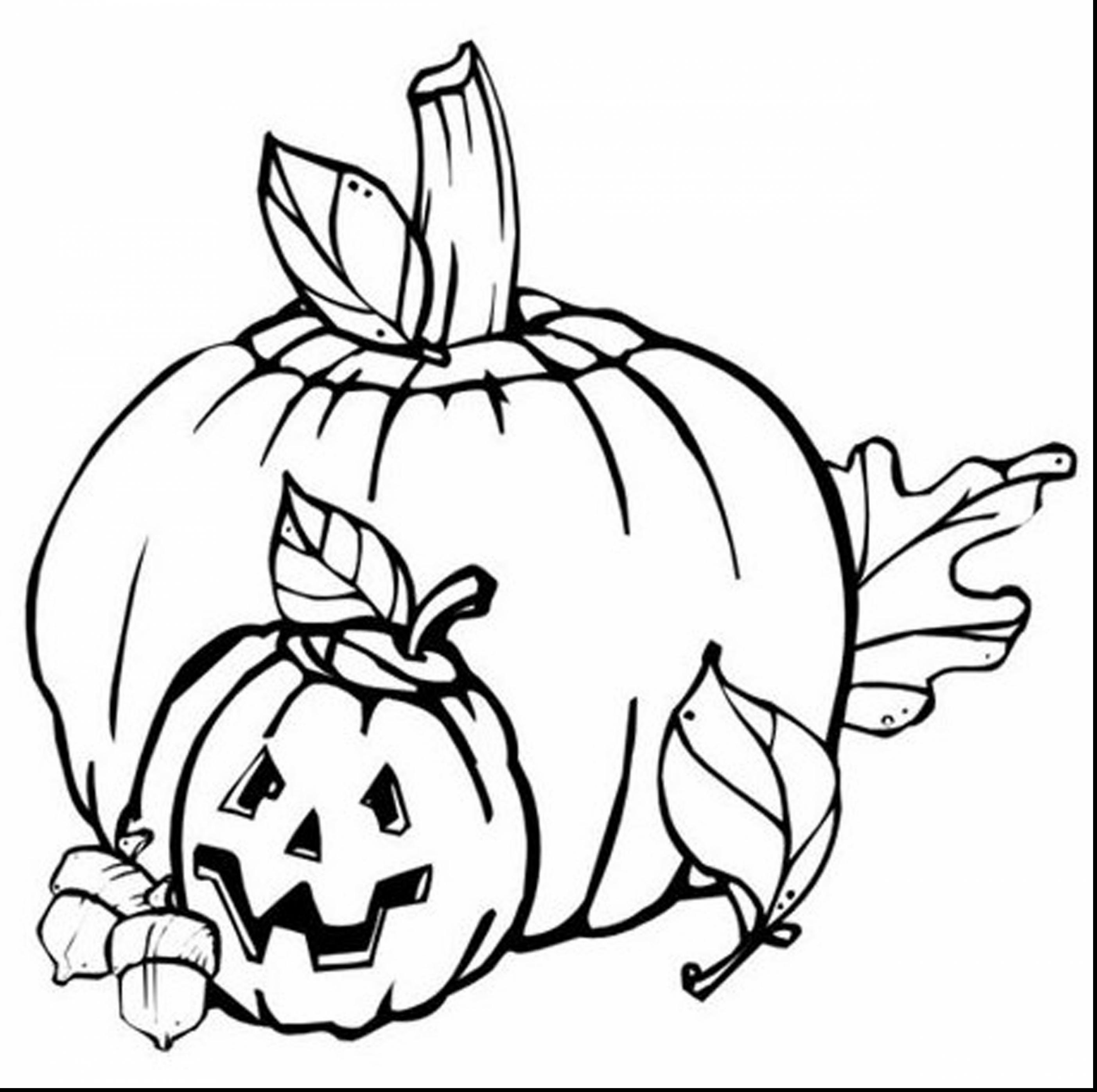 2805x2792 Greatest Fall Pumpkin Coloring Pages For Kids Free Printable