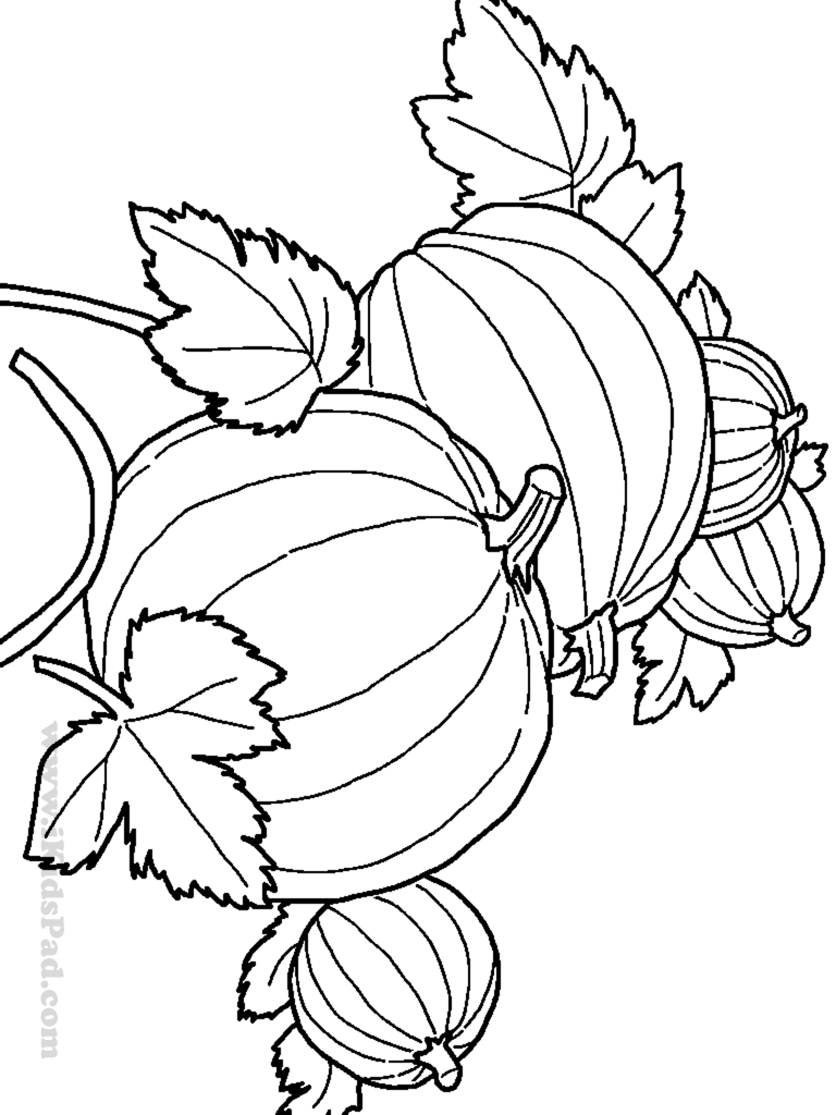 768x1024 Introducing Harvest Coloring Pictures V Sledek Obr Zku Pro Fall