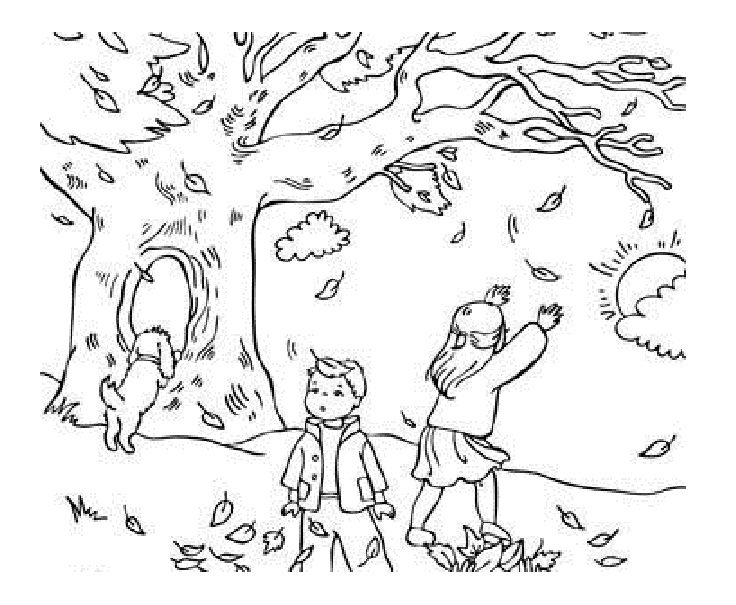 736x605 Fall Coloring Pages