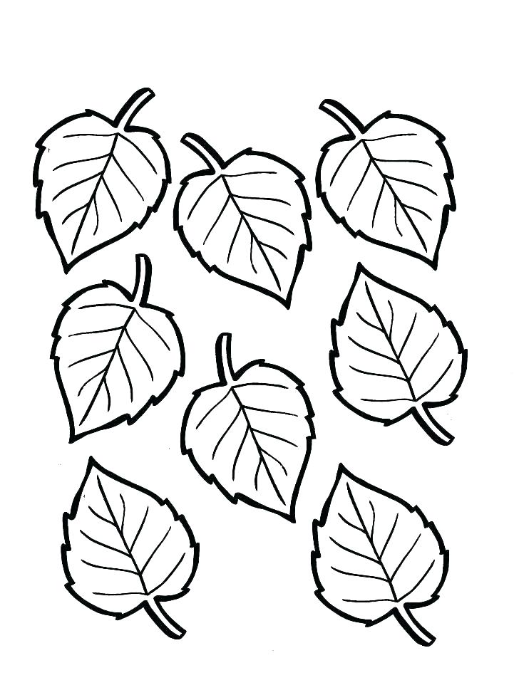 728x969 Fall Leaf Coloring Pages Printable Coloring Printable Fall