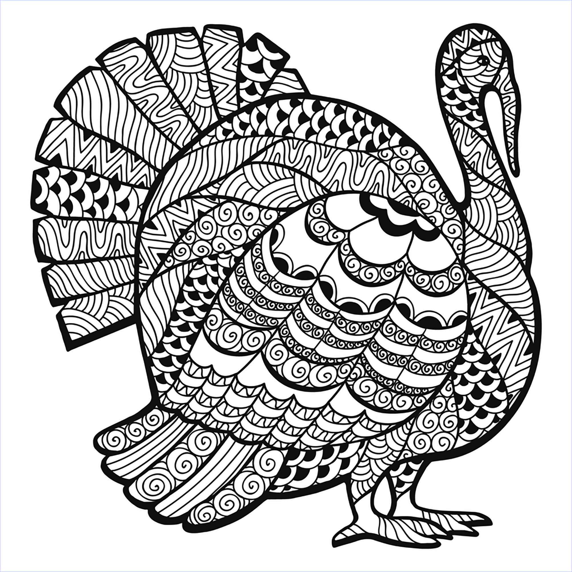 2000x2000 Thanksgiving