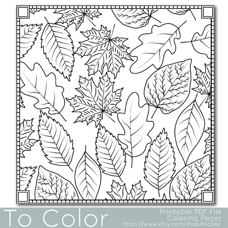 Fall Theme Coloring Pages