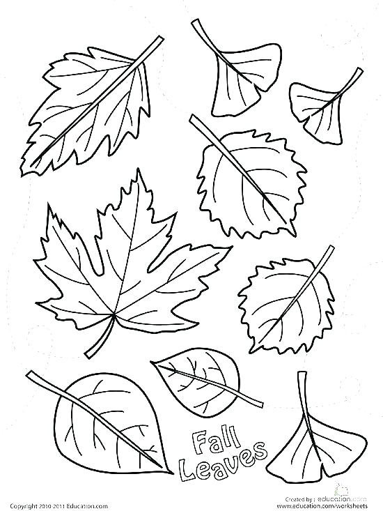 550x733 Coloring Pagesfall Coloring Pages Fall Leaves Autumn Coloring