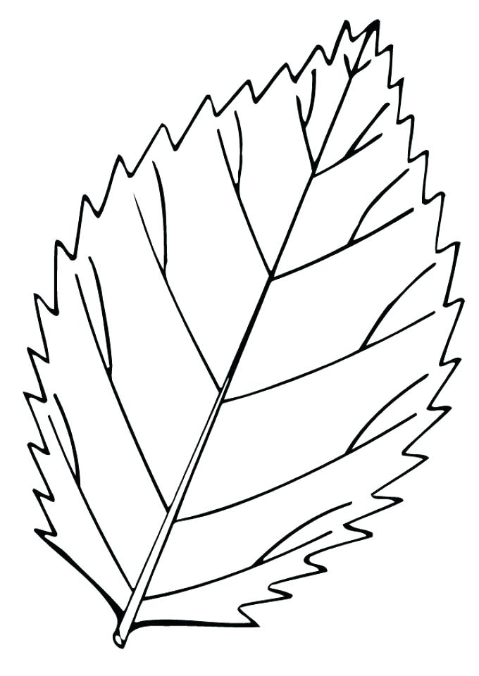 680x960 Fall Themed Coloring Pages Autumn Coloring Page Autumn Coloring