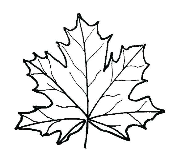 560x540 Fall Themed Coloring Pages Autumn Coloring Pages Autumn Coloring