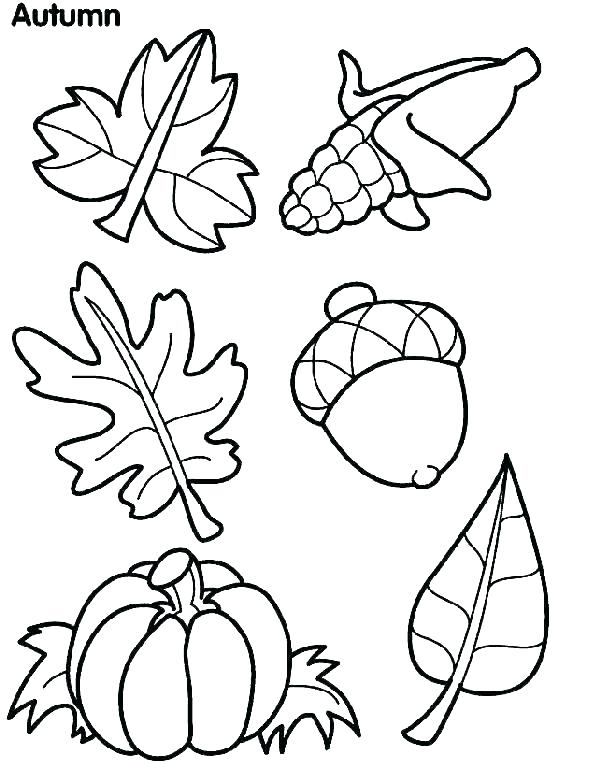 601x762 Free Autumn Coloring Pages Printable Fall Coloring Pages Printable