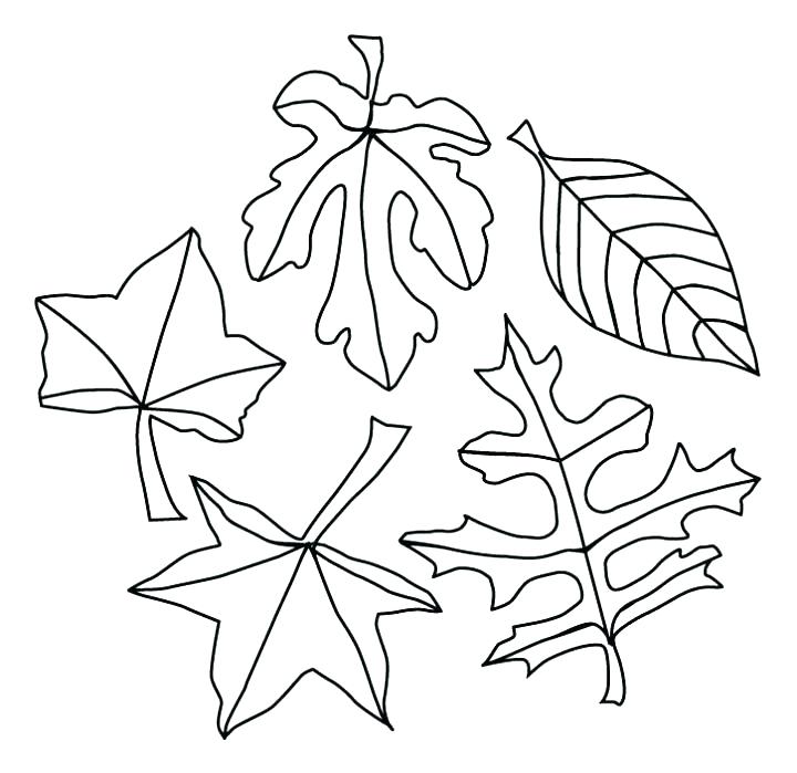 720x699 Free Coloring Pages For Fall Free Fall Printable Coloring Pages