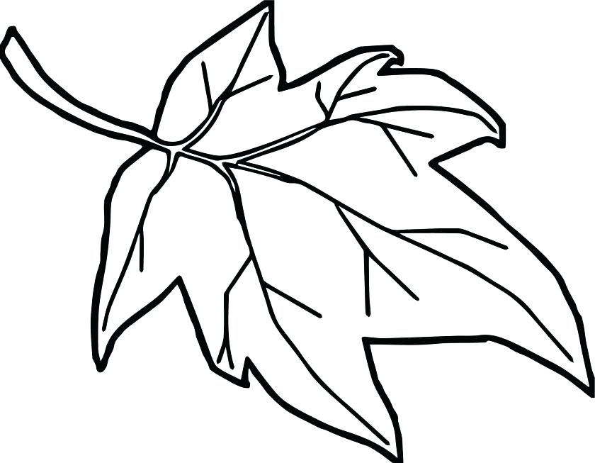 840x653 Fall Autumn Coloring Pages Fall Coloring Pages Fall Coloring Pages