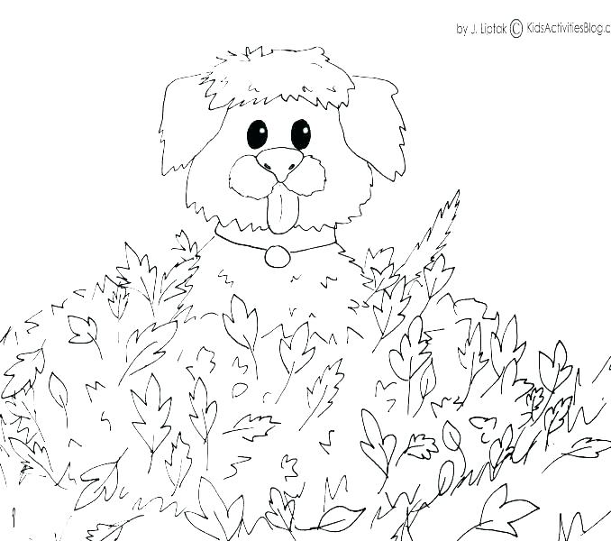 678x600 Free Printable Fall Themed Coloring Pages For Adults Autumn Prin