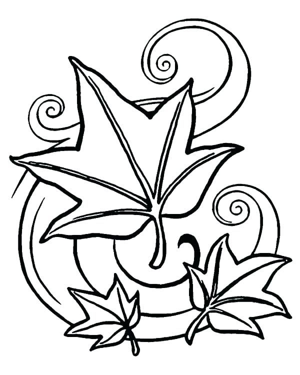 600x750 Autumn Leaves Coloring Pages
