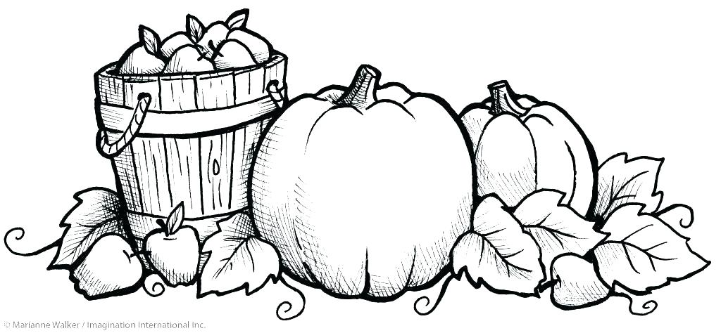 1024x474 Free Fall Themed Coloring Pages