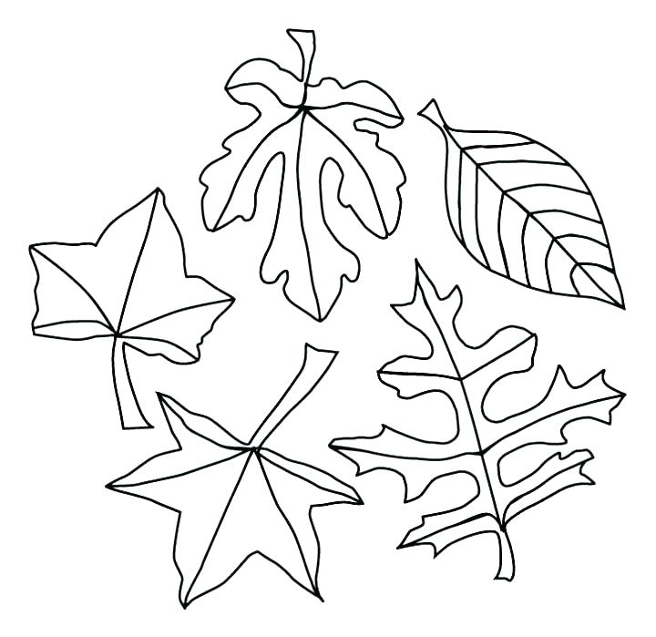 720x699 Free Printable Autumn Coloring Pages