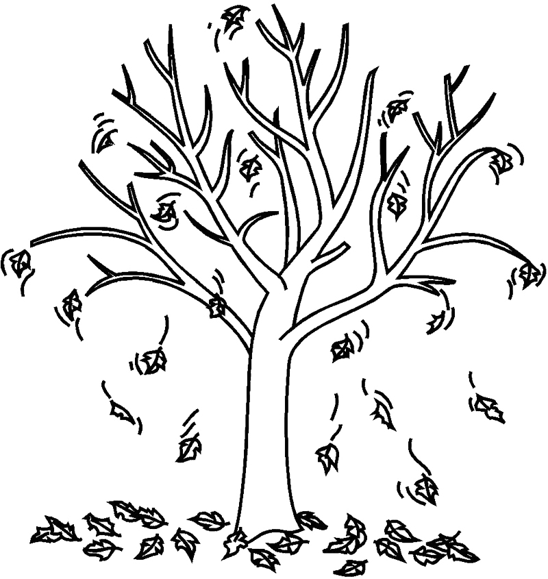 800x845 Fall Tree Coloring Pages