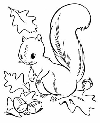 327x400 Fall Coloring Pages 2018 Z31 Coloring Page