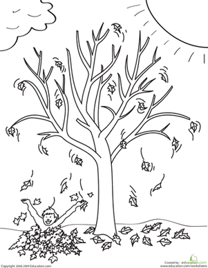 301x389 Fall Tree Worksheet
