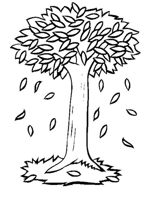 500x662 Fall Tree Outlines Fall Trees And Leaves