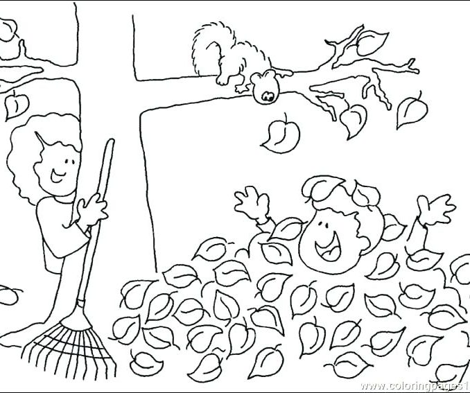 678x567 Free Printable Fall Tree Coloring Pages Coloring Page