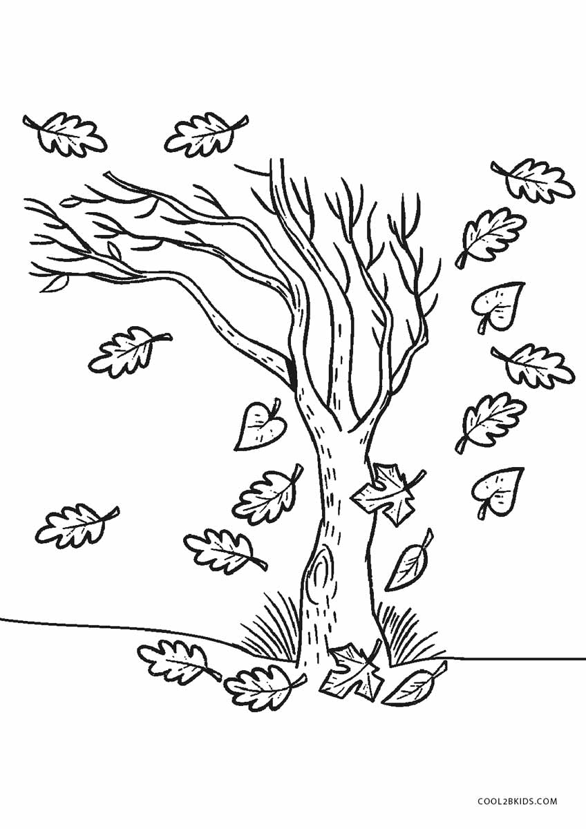 848x1200 Free Printable Tree Coloring Pages For Kids Cool2bkids