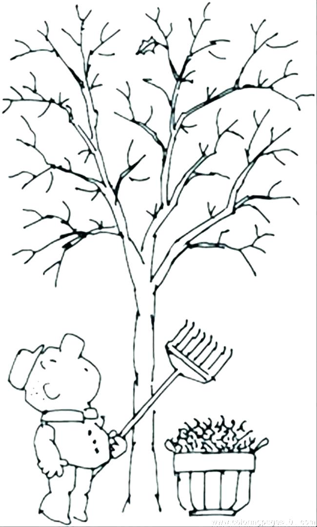 650x1078 Leafless Tree Coloring Page Coloring Pages For Kids Animals Bare