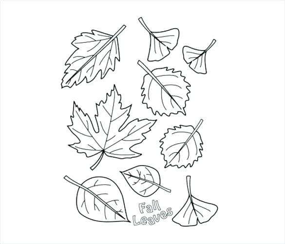 585x501 Autumn Tree Coloring Pages Printable Fall Tree Coloring Page Fall
