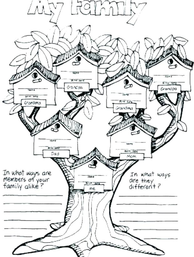 620x818 Family Tree Coloring Page Family Coloring Sheet Family Coloring
