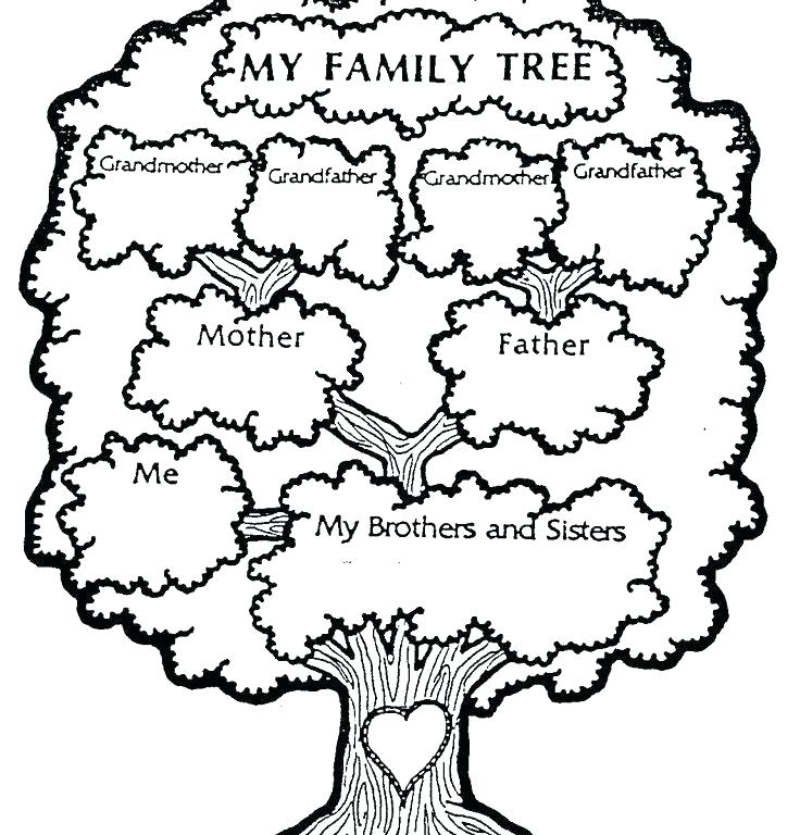 736x768 Family Tree Printables Family Tree Tree Tree Family Tree Worksheet