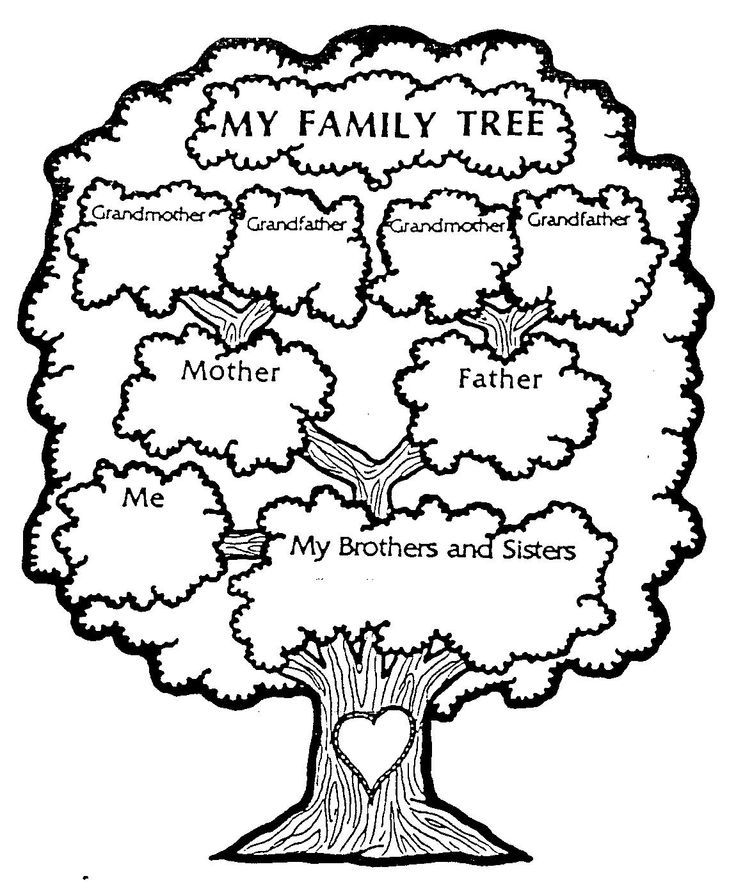 736x892 Family Tree Printable. Good For A Home School Lesson! Campd