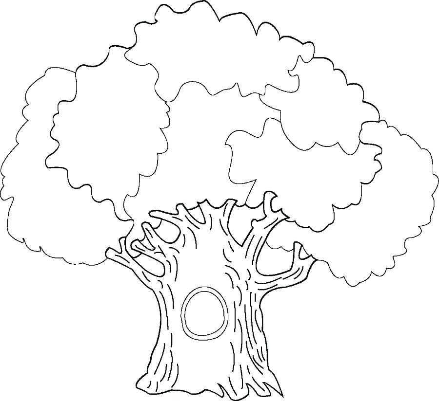 900x824 Family Tree Coloring Page My Family Tree Colouring Pages Family