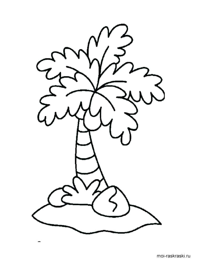 750x1000 Family Tree Colouring Sheets Free Coloring Pages Palm 2 Osakawan
