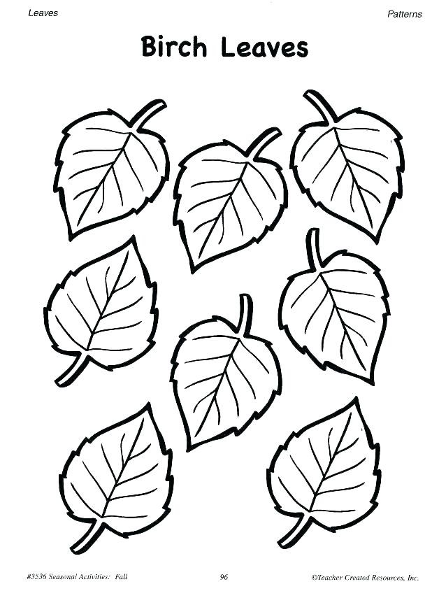 618x845 Printable Family Coloring Page Family Tree Coloring Pages