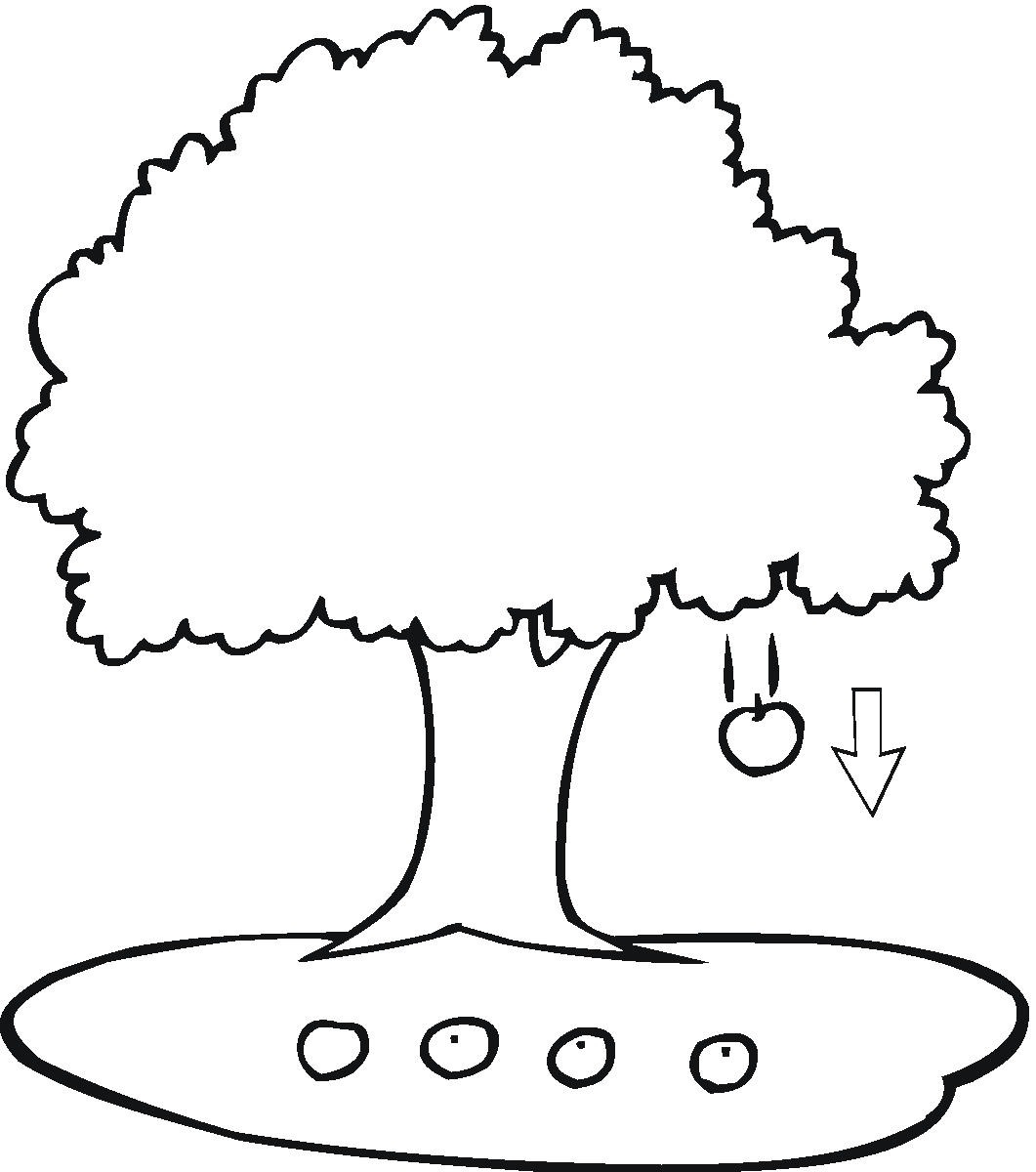 1061x1200 Family Tree Coloring Pages Printable Free Coloring For Kids 2018