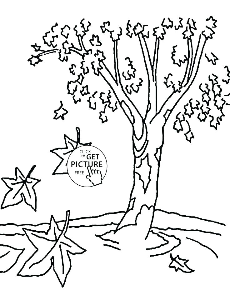 736x944 History Coloring Pages Black History Coloring Sheets Black History
