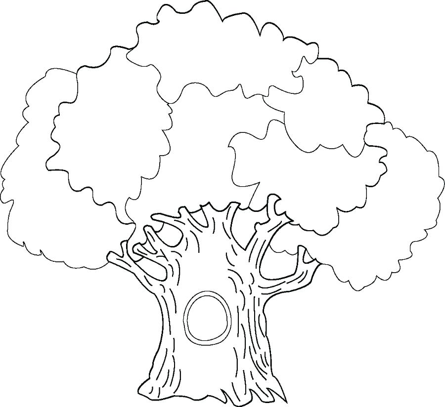 900x824 My Family Tree Colouring Pages Family Tree Printable Family Tree