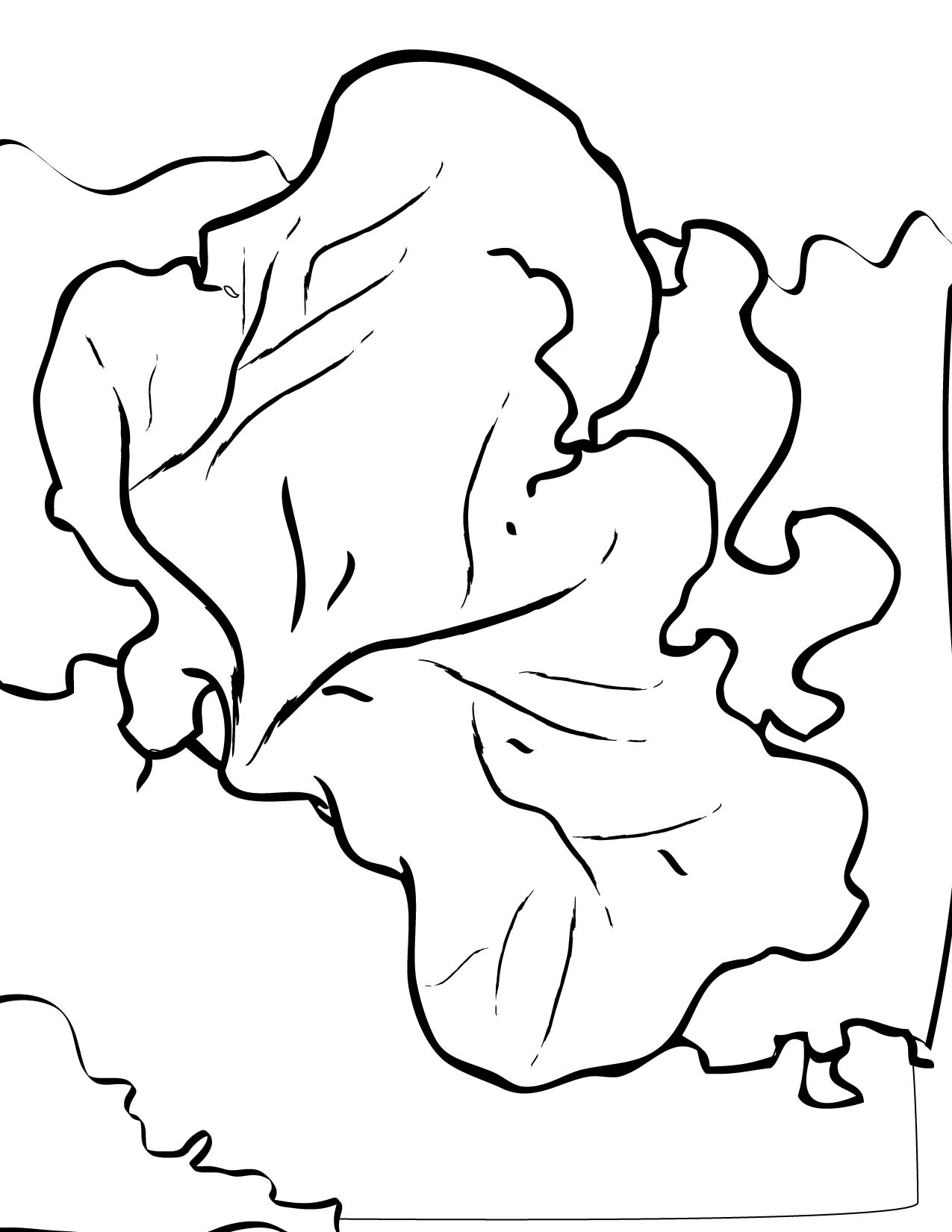1275x1650 Red Sea Fan Coloring Page