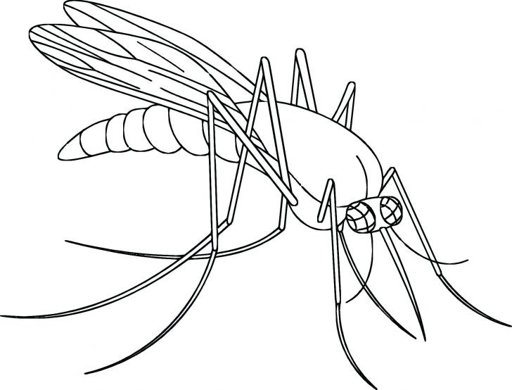 728x554 Terry Fox Coloring Pages Lovely Printable Fox Coloring Pages