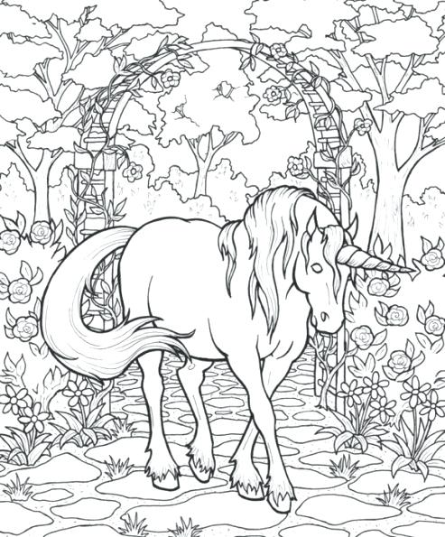 493x595 Mythological Creatures Coloring Pages Mythical Dragon Coloring