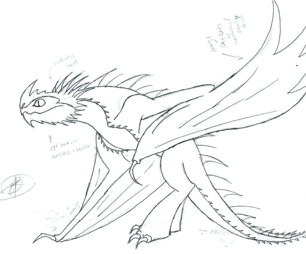 1024x849 Coloring Pages ~ How To Train Your Dragon Coloring Pages Fantasy