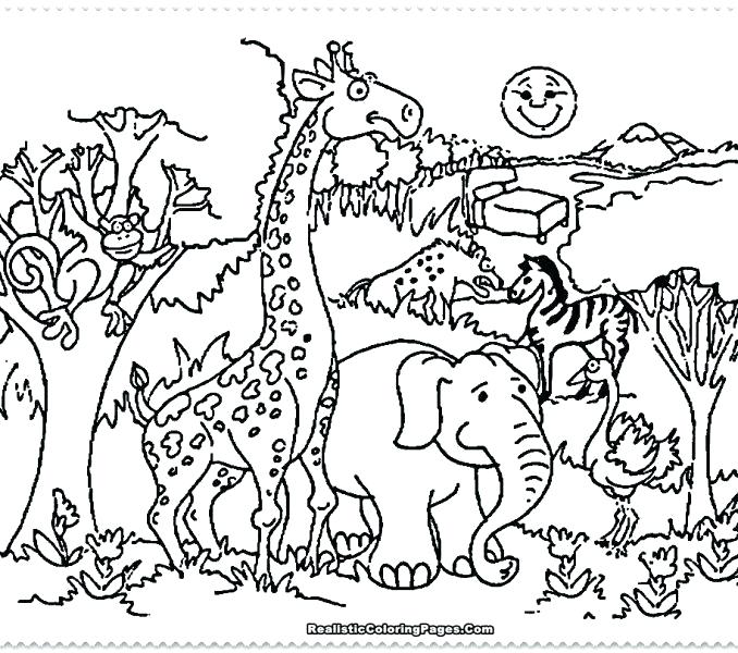 678x600 Baby Farm Animals Coloring Pages Animals Coloring Sheet Baby Farm