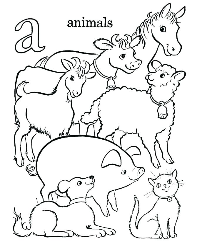 670x820 Coloring Pages For Kids Animals Farm Animals Coloring Pages